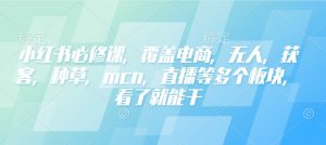 小红书必修课,覆盖电商,无人,获客,种草,mcn,直播等多个板块,看了就能干-林文副业站