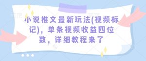 小说推文最新玩法(视频标记)，单条视频收益四位数，详细教程来了-林文副业站