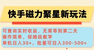 快手磁力新玩法，可查询实时收益，单机30+，批量可日入3到5张【揭秘】-林文副业站