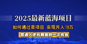 2025蓝海项目,普通人如何通过卖项目,实现月入过W,全过程【揭秘】-林文副业站