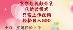 京东短视频带货,2025翻身项目,只需上传视频,单月稳定变现8k+【揭秘】-林文副业站