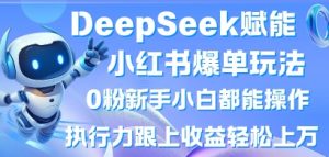 DeepSeek赋能小红书爆单玩法0粉新手小白都能操作，执行力跟上收益轻松上W，懒人勿做-林文副业站