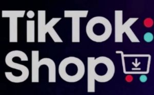 TikTokShop跨境电商0-1实战，手把手教你低成本启动海外市场-林文副业站