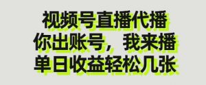 视频号直播代播，你出账号我来播，单日收益轻松几张【揭秘】-林文副业站