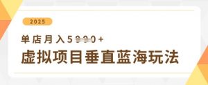 虚拟项目垂直玩法，实现单店月入5k+-林文副业站
