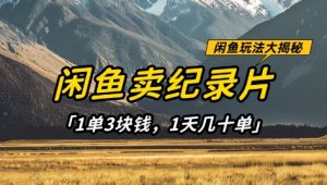 闲鱼卖纪录片1单3块钱，1天几十单，项目稳定有潜力-林文副业站