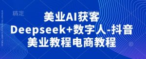 美业AI获客Deepseek+数字人-抖音美业教程电商教程-林文副业站