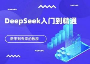 DeepSeek快速从入门到精通，新手的保姆级教程-林文副业站
