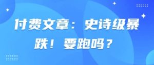 付费文章：史诗级暴跌！要跑吗？-林文副业站