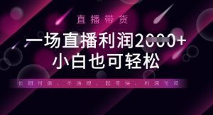 半无人直播带货，一场利润数张，适合所有平台玩法，小白也可轻松-林文副业站