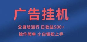 广告挂G全自动5张+项目，操作简单，小白轻松上手【揭秘】-林文副业站