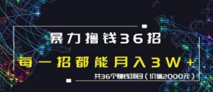 蜘蛛火暴力撸钱36招，共36个赚钱项目价值2000元-林文副业站