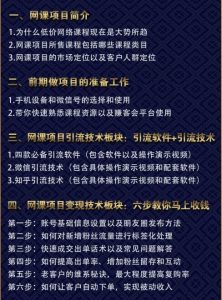 狼叔亲自操作的虚拟网课项目视频教程，轻松做到月入上万-林文副业站