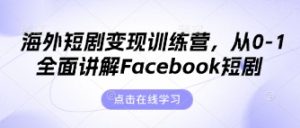 海外短剧变现训练营，从0-1全面讲解Facebook短剧-林文副业站