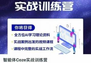 智能体Coze实战训练营，掌握新时代效率工具，让你人生即刻开挂-林文副业站