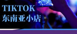 Tiktok东南亚跨境小店运营班，一门专业的TK小店运营培训课-林文副业站