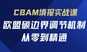CBAM填报实战课，欧盟碳边界调节机制，从零到精通-林文副业站