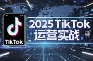 2025TikTok电商运营，掌握TikTok店铺运营核心技巧，实现低成本高转化-林文副业站