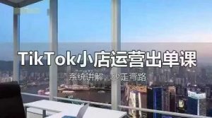 TikTok小店运营出单课，从开店选品、运营出单、发货回款，进行全流程讲解-林文副业站