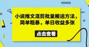 小说推文混剪批量搬运方法，简单粗暴，单日收益多张-林文副业站