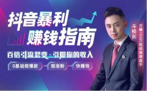 抖音暴利赚钱秘籍：0基础做爆款、狠涨粉、快赚钱 视频教程-林文副业站