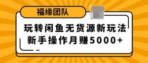 福源团队玩转闲鱼无货源新玩法，新手简单操作轻松月赚5000+-林文副业站