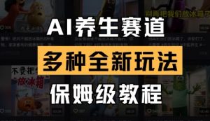 AI养生赛道，多种全新玩法，保姆级教程拆解-林文副业站