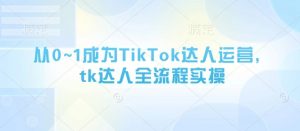 从0~1成为TikTok达人运营，tk达人全流程实操-林文副业站
