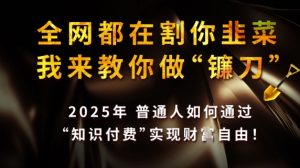 全网都在割你韭菜,我来教你做镰刀,2025普通人如何通过知识付费,实现财F自由【揭秘】-林文副业站
