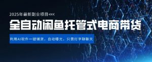 【闲鱼全自动电商带货】三年磨一剑，一朝露锋芒，长期稳定项目，单日稳定变现5张【揭秘】-林文副业站