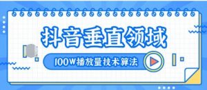 2020抖音垂直领域内训课程，100W播放量热门技术推荐算法（完结）-林文副业站