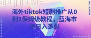 海外tiktok短剧推广从0到1保姆级教程，蓝海市场日入多张-林文副业站