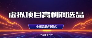 虚拟项目高利润选品方法，做好单店利润1W+，可多店倍增利润-林文副业站