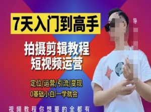 7天入门到高手，短视频剪辑运营高手课，定位 运营 引|流 变现，0基础小白一学就会-林文副业站