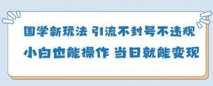 国学新玩法，引流不封号不违规小白也能操作，当日就能变现-林文副业站