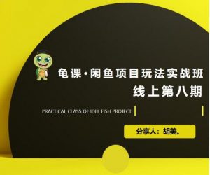 宅男：闲鱼项目玩法实战班·第8期（第1节）市场分析及准备细节，选品/多种变现玩法-林文副业站