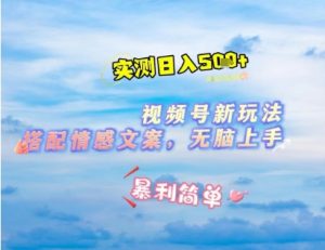 微信视频号最新玩法，表情包搭配情感文案，2分钟一条原创作品，简单好上手，轻松日入几张-林文副业站