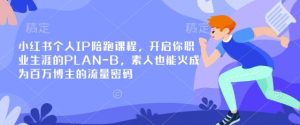 小红书个人IP陪跑课程，开启你职业生涯的PLAN-B，素人也能火成为百万博主的流量密码-林文副业站