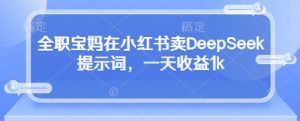 全职宝妈在小红书卖DeepSeek提示词，一天收益1k-林文副业站