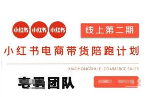 小红书电商带货课2期，月利润20个的小红书电商的有货源，无货源，虚拟产品，付费投流等整套玩法-林文副业站