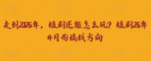 走到2025年，短剧还能怎么玩？短剧25年4月份搞钱方向-林文副业站