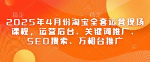 2025年4月份淘宝全套运营现场课程，运营后台、关键词推广、SEO搜索、万相台推广-林文副业站