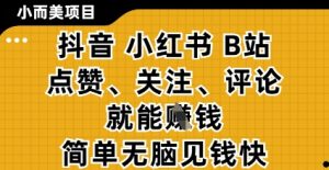 小而美的项目，抖音小红书B站视频点赞、关注、评论就能挣钱，简单无脑立见收益，妥妥的零撸项目【揭秘】-林文副业站