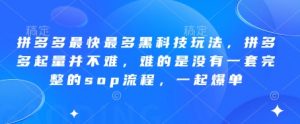 拼多多最快最多黑科技玩法，拼多多起量并不难，难的是没有一套完整的sop流程，一起爆单!-林文副业站