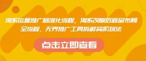 淘系运营推广标准化流程，​淘系改版后新品布局全流程，无界推广工具拆解高阶玩法-林文副业站