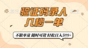 验证码录入，几秒钟一单，只需一部手机即可开始，随时随地可做，每天5张+【揭秘】-林文副业站