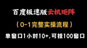 百度极速版云机矩阵项目，单窗口1小时10+，可挂100窗口，完整实操流程【揭秘】-林文副业站
