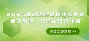 2025新版原创微信小店带货者实操课，教你微信开小店-林文副业站
