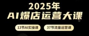 2025年AI爆店运营大课，13节AI实操课+37节流量运营课-林文副业站