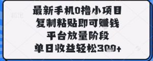 最新手机0撸小项目，复制粘贴即可挣钱，平台放量阶段，单日收益轻松3张+【揭秘】-林文副业站